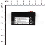 707495 Briggs & Stratton Battery