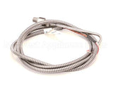 70845 Marsal Pizza Ovens Thermocouple Probe Stm (Wp10)