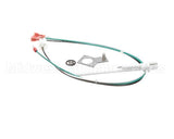 711200003 Cornelius Kit Service Probe 3/16 Qc Tabs
