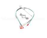 711200003 Cornelius Kit Service Probe 3/16 Qc Tabs