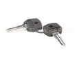 719102-KY Stoelting Keys; For 2 Pos Switch 719102