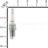 71S Champion Rc12Yc Shop Pack 24 Plugs