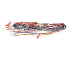 72019 Grindmaster Cecilware Harness,Low Volt,Non-Shutter
