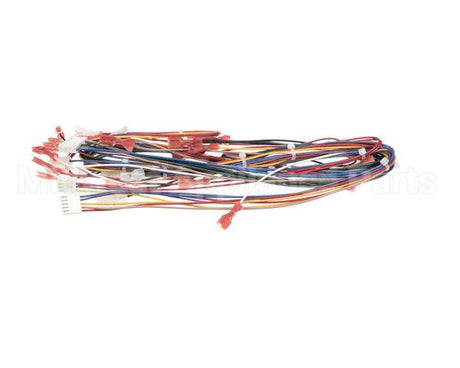 72019 Grindmaster Cecilware Harness,Low Volt,Non-Shutter
