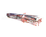 72019 Grindmaster Cecilware Harness,Low Volt,Non-Shutter