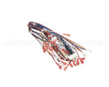 72019 Grindmaster Cecilware Harness,Low Volt,Non-Shutter
