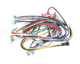 72075 Grindmaster Cecilware Harness, Non-Shutter Wiring