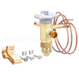 72261 Compatible Structural Concepts Valve, Thermal Expansion