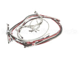 72379 Marsal Pizza Ovens Harnessct302 3P4W Element