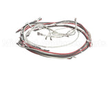 72379 Marsal Pizza Ovens Harnessct302 3P4W Element
