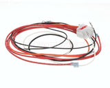 1064899 Frymaster Harness,Control W/ Cnstnt Plt