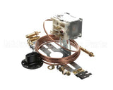 735033-SV Stoelting Cab Thermostat