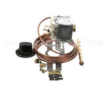 735033-SV Stoelting Cab Thermostat