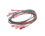 74281 Middleby Wireset,24Vdc Motor Ps670