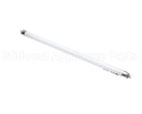 750300254 Cornelius Bulb 8W 11.34In Oly L Fmerch