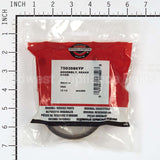 7503086YP Briggs & Stratton Assembly Brake Band