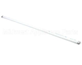 76119 Structural Concepts Light Bulb