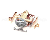 762443 Stoelting Valve Expansion Thermostatic