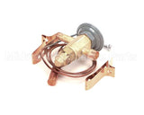 762443 Stoelting Valve Expansion Thermostatic