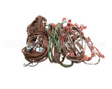 21792600 Bakers Pride Harness: Wire Electric Oven