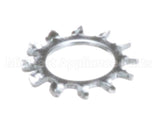 766982 Stoelting Washer Shakeproof 38 Zinc
