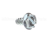 889 Globe Self Tapping Screw