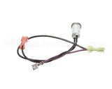 781212 Newco Ready Lamp Green