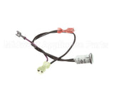 781212 Newco Ready Lamp Green