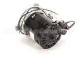 781279 Bevles 115V Motor 3000 Rpm