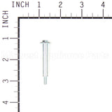 790850 Briggs & Stratton Screw