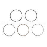 791787 Briggs & Stratton Ring Set
