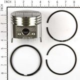 792367 Briggs & Stratton Piston-Assy-020