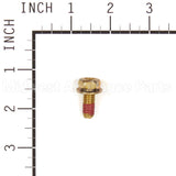 793567 Briggs & Stratton Kit-Screw/Washer