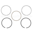 794126 Briggs & Stratton Ring Set