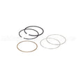 795690 Briggs & Stratton Ring Set