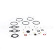 797634 Briggs & Stratton Kit-Carb Overhaul