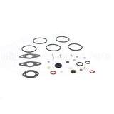 797634 Briggs & Stratton Kit-Carb Overhaul