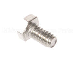 975-1 Globe Screw, Motor Shell S.s.