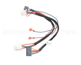 8076162 Frymaster Harness,Gla Fv Fenwal Dsi Modl