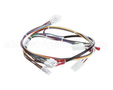 130201 Globe Wire Harness 3000 Series