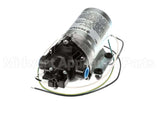 8000-912-288 Everpure Pump 115V 2.5 100Psi Ftf