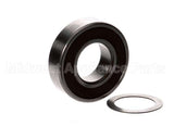800000 Globe Bearing And Washer Kit