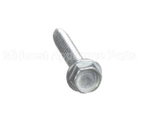 800068 Globe #10-24 X 1" Thread Form Slotte