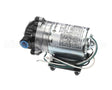 8005-932-260 Everpure Pump 115V 2.5 100Psi Byp