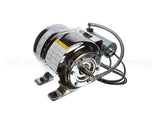 804-023 Cornelius Pump Wtrbst 2Gal Shur