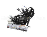 805000041 Rinnai Harness E