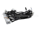 805000041 Rinnai Harness E