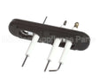 805000059 Rinnai Ignition/Electrode Assembly