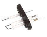 805000059 Rinnai Ignition/Electrode Assembly