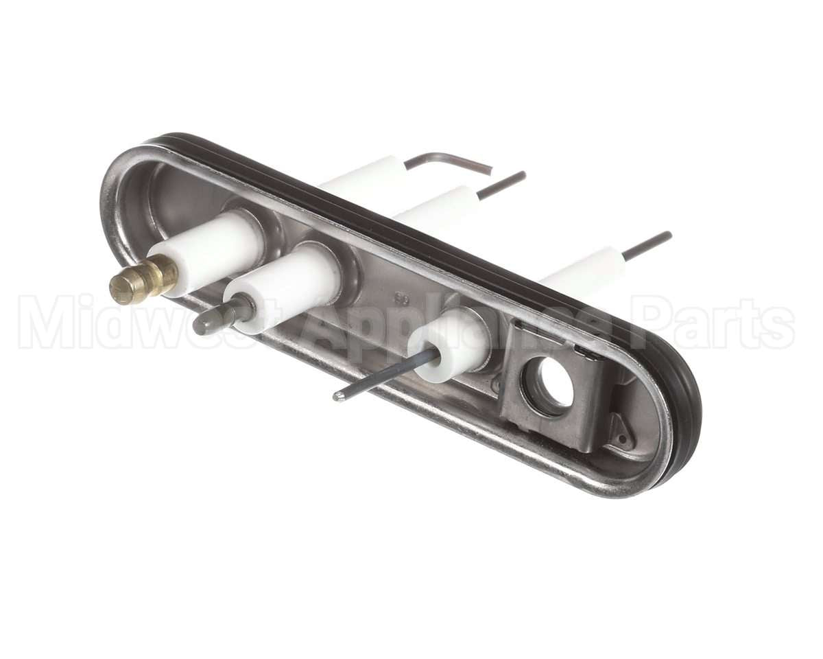 805000059 Rinnai Ignition/Electrode Assembly
